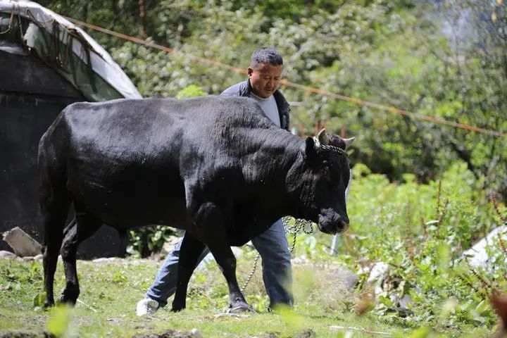世界首次，成功克隆！