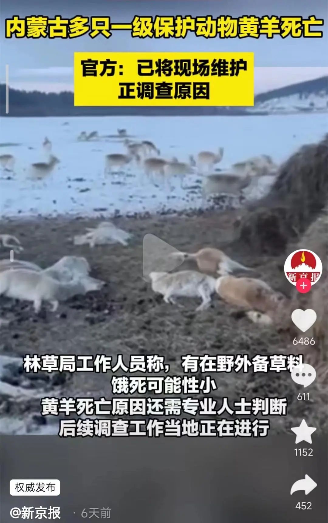 内蒙古多只一级保护动物黄羊死亡！“瘦得皮包骨，死因仍在调查” ... ...