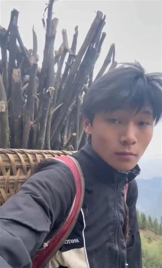 他劈柴700多斤留给爷爷奶奶，网友直呼“此刻你是最帅的男人” ...