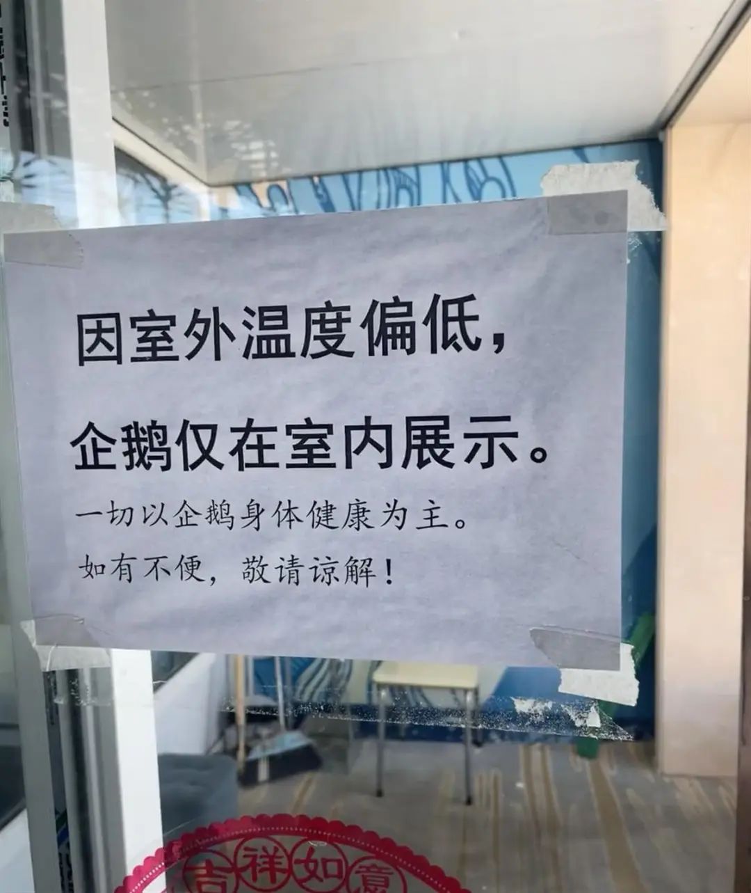 企鹅也怕冷？还会感冒？