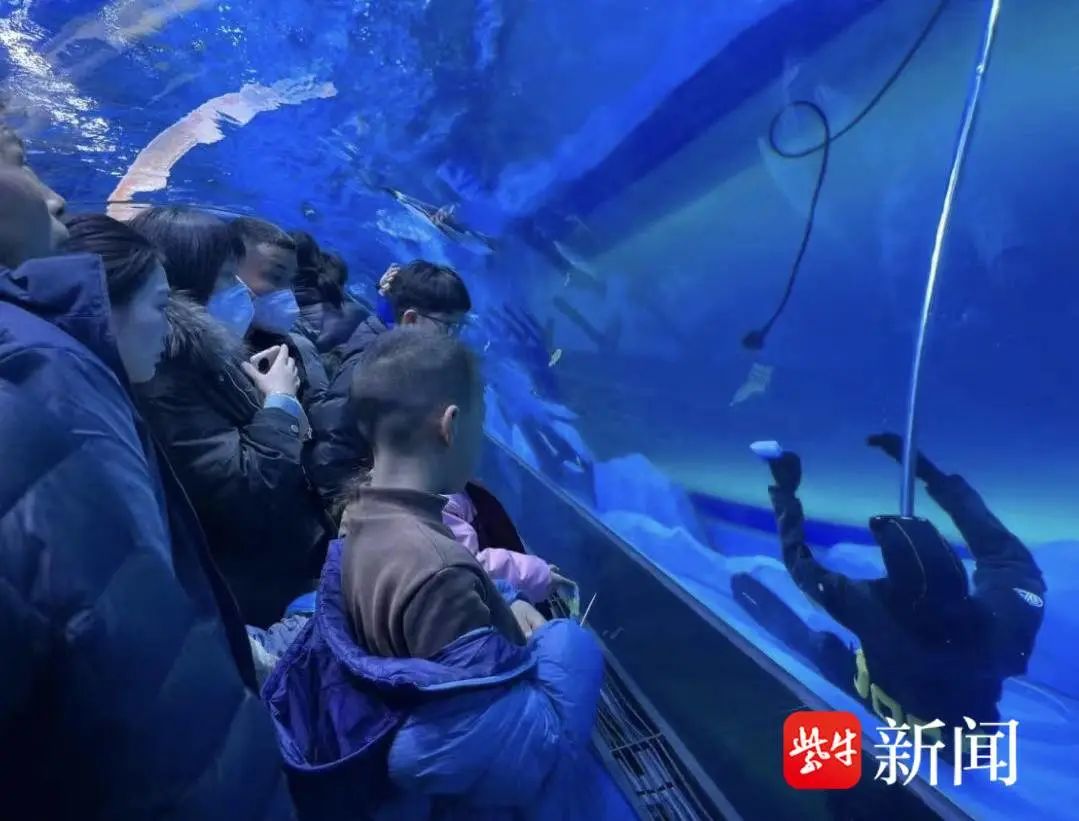 郑州一海洋馆潜水员在馆内溺亡，多名游客目击：以为是假人 ... ...