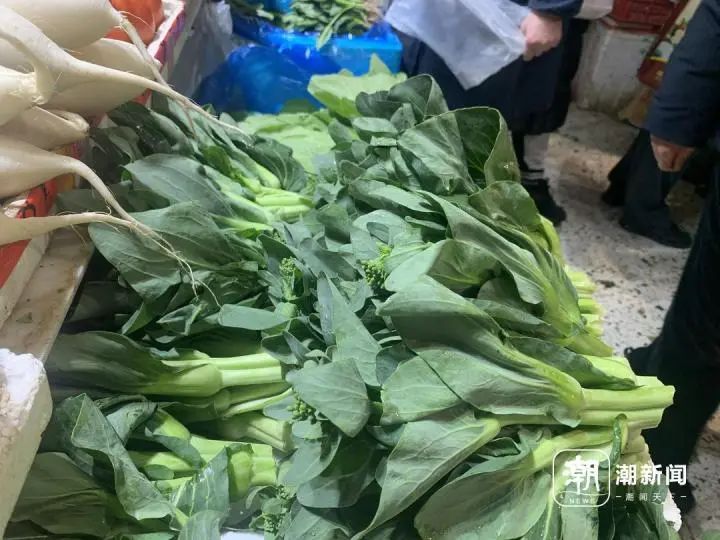 浙江“省菜”冲上热搜，有人一天要卖200斤