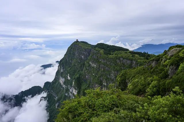 西安籍女大学生出游失联16天，曾两次登上峨眉山，警方多次搜山仍未找到 ... ...