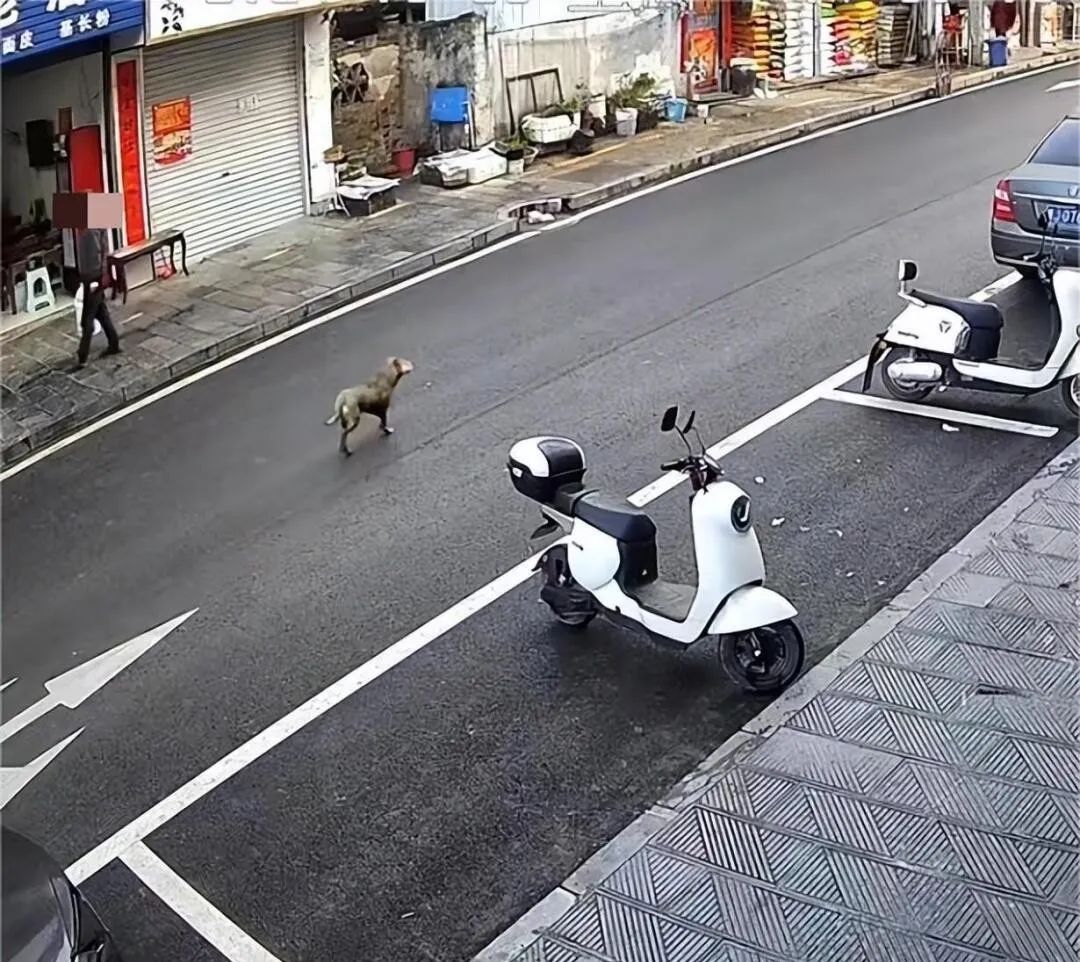 事发一街道，致多人受伤！当地警方回应