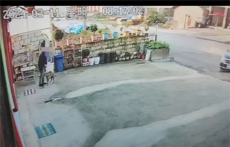 事发一街道，致多人受伤！当地警方回应