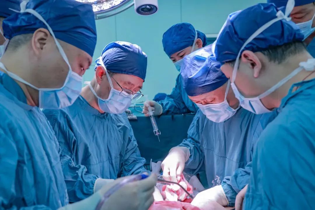 全球首例！中国医生把猪肝移植进人体