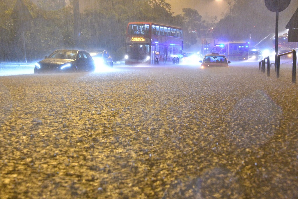 今年台风天气情况如何？