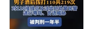 酒后拨打110共219次，男子被判刑