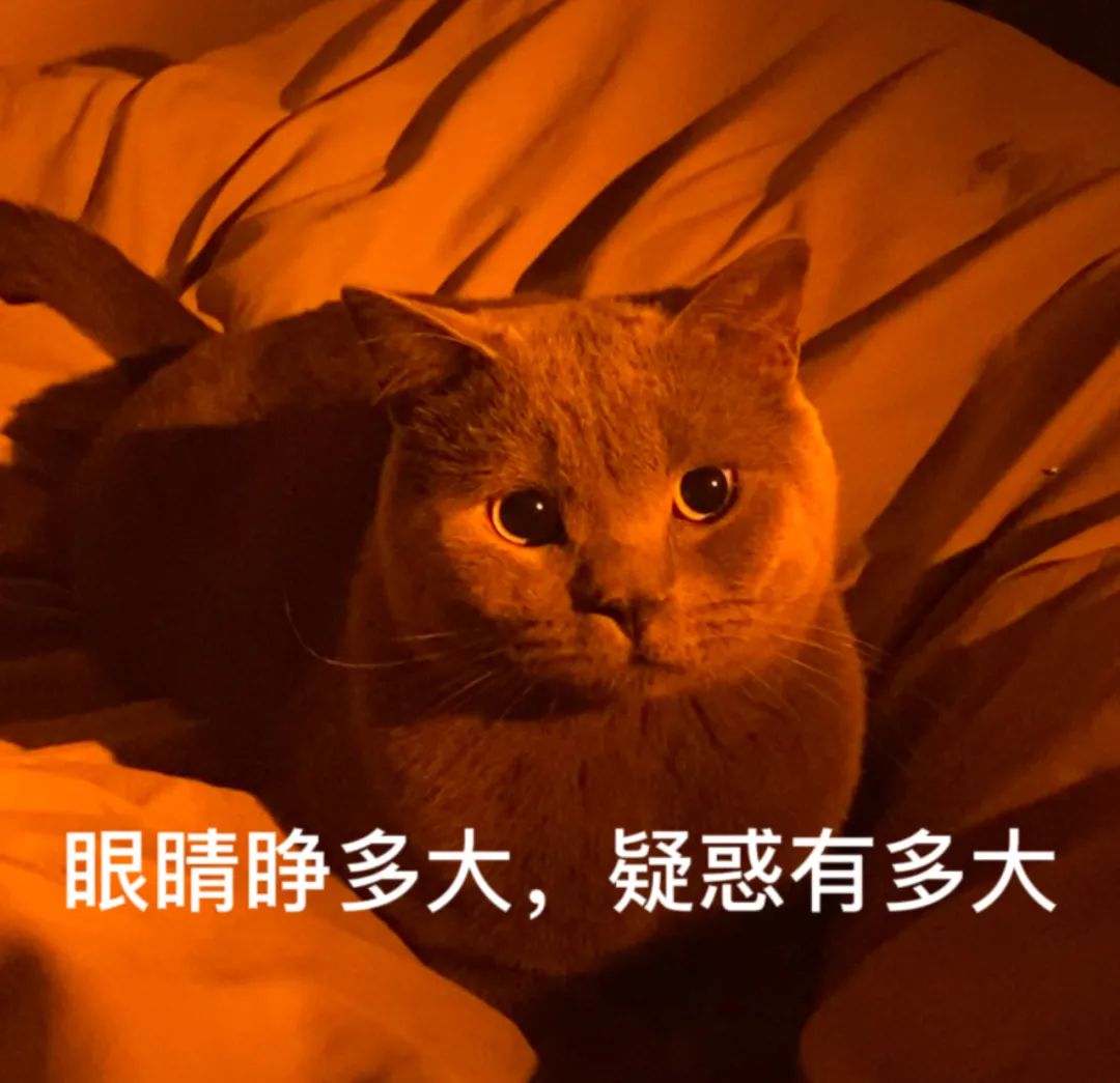 丈夫婚内给女主播转账400万元，妻子起诉索回对方拒还，法院怎么判？ ... ... ...