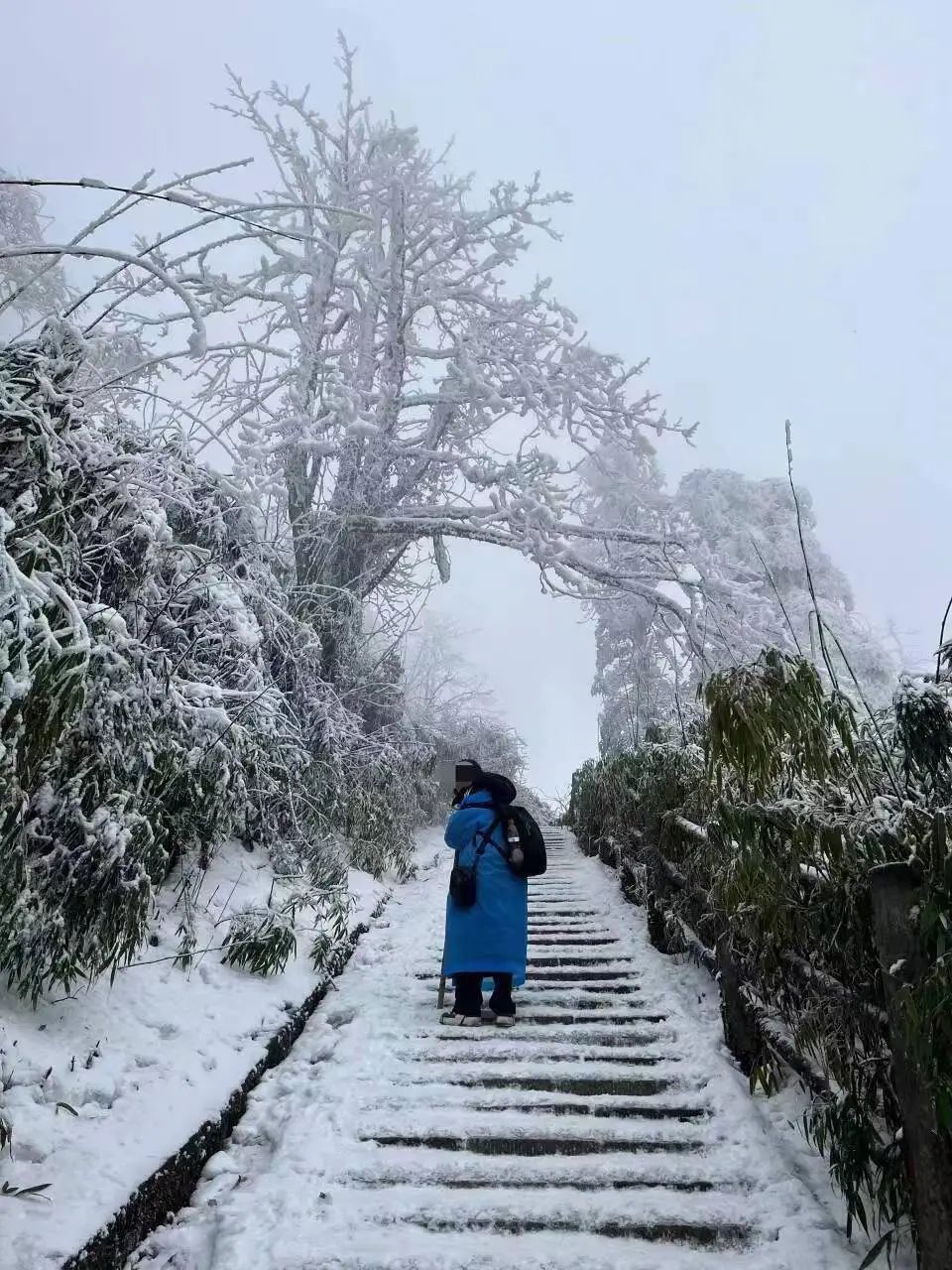 痛心！23岁女大学生失联40多天后，遗体在山崖下被找到