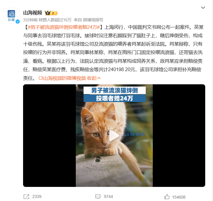 男子被“流浪猫”绊倒？“投喂者”赔24万？一些自媒体，唯恐天下不乱！ ... ...