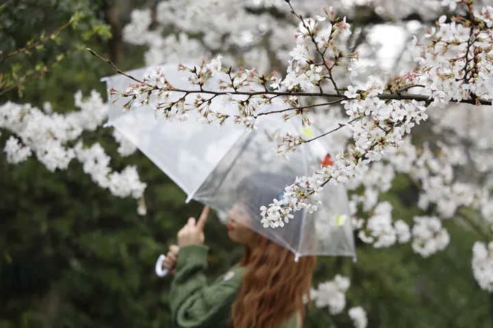 大到暴雨！10级雷暴大风！浙江人挺住，就在今晚