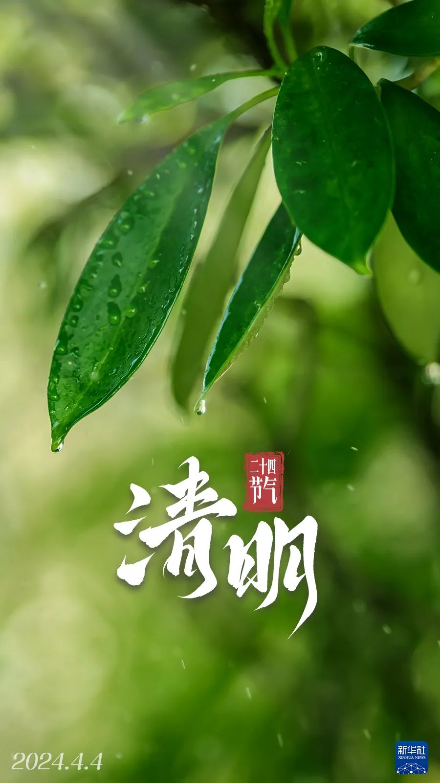今日清明！带着思念，向前走