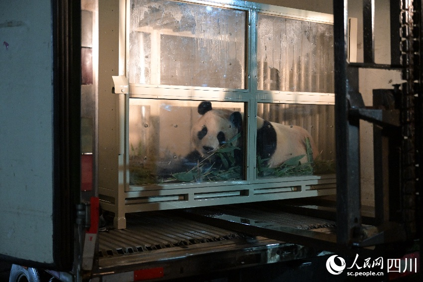 “福宝”，欢迎回家！