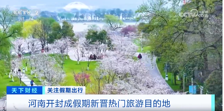 酒店预订量暴增近10倍！一景区启动限流！又一个“顶流”来了？ ... ... ...