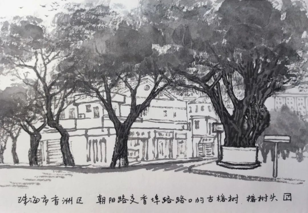 大湾区珠海这个百年老街区，在市井烟火中沉淀着繁华过往…… ... ... ... ...