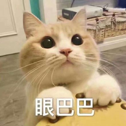 39岁男子工作时从楼梯上摔下，变成“植物人”！来到深圳这家医院后…… ... ...