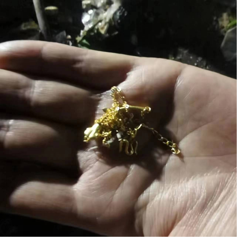 “大海捞针”捞到了！合肥环卫工人翻遍5吨垃圾帮市民找回金项链！ ... ...