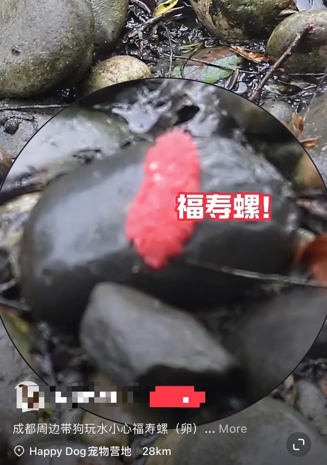 多地已出现！紧急提醒：寄生虫多达6000条，千万别乱吃
