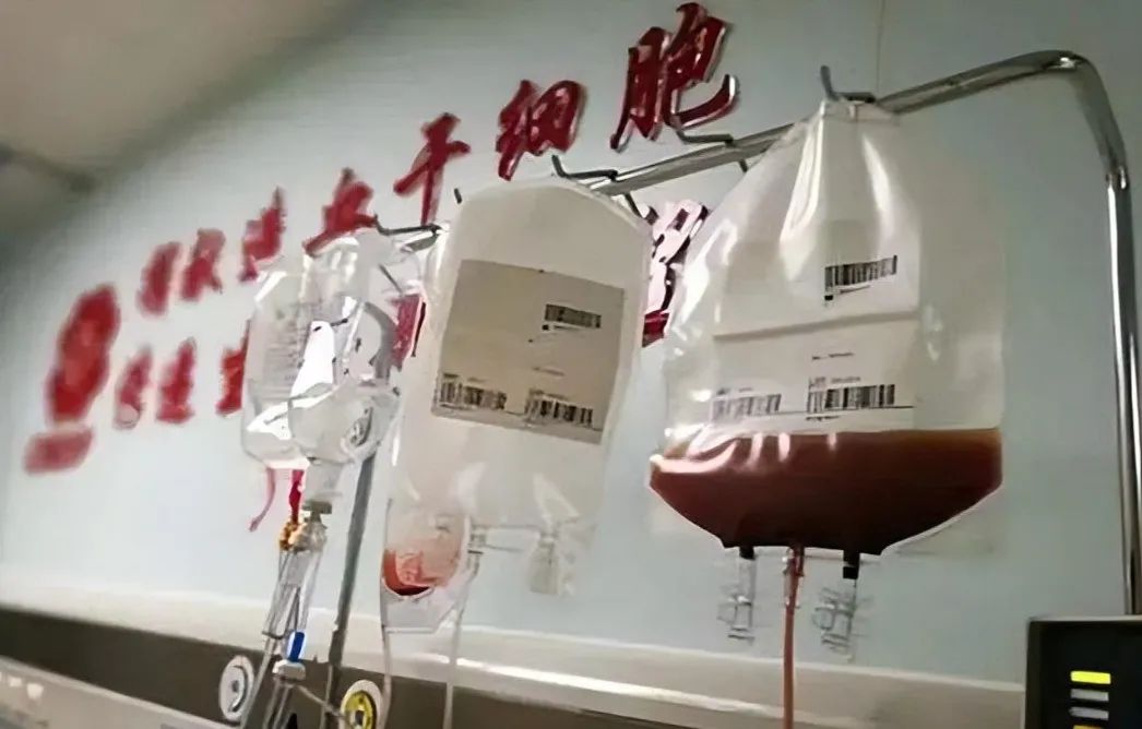 江苏女子为救哥哥捐骨髓，8年后，妹妹危在旦夕，他大喊：哥把这条命还你！ ... ...