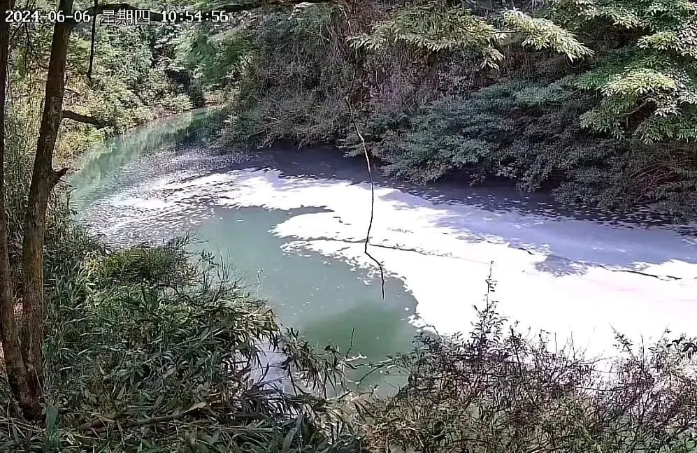 惊人一幕！湖南猪场粪水灌河道，当地村民吃水难！