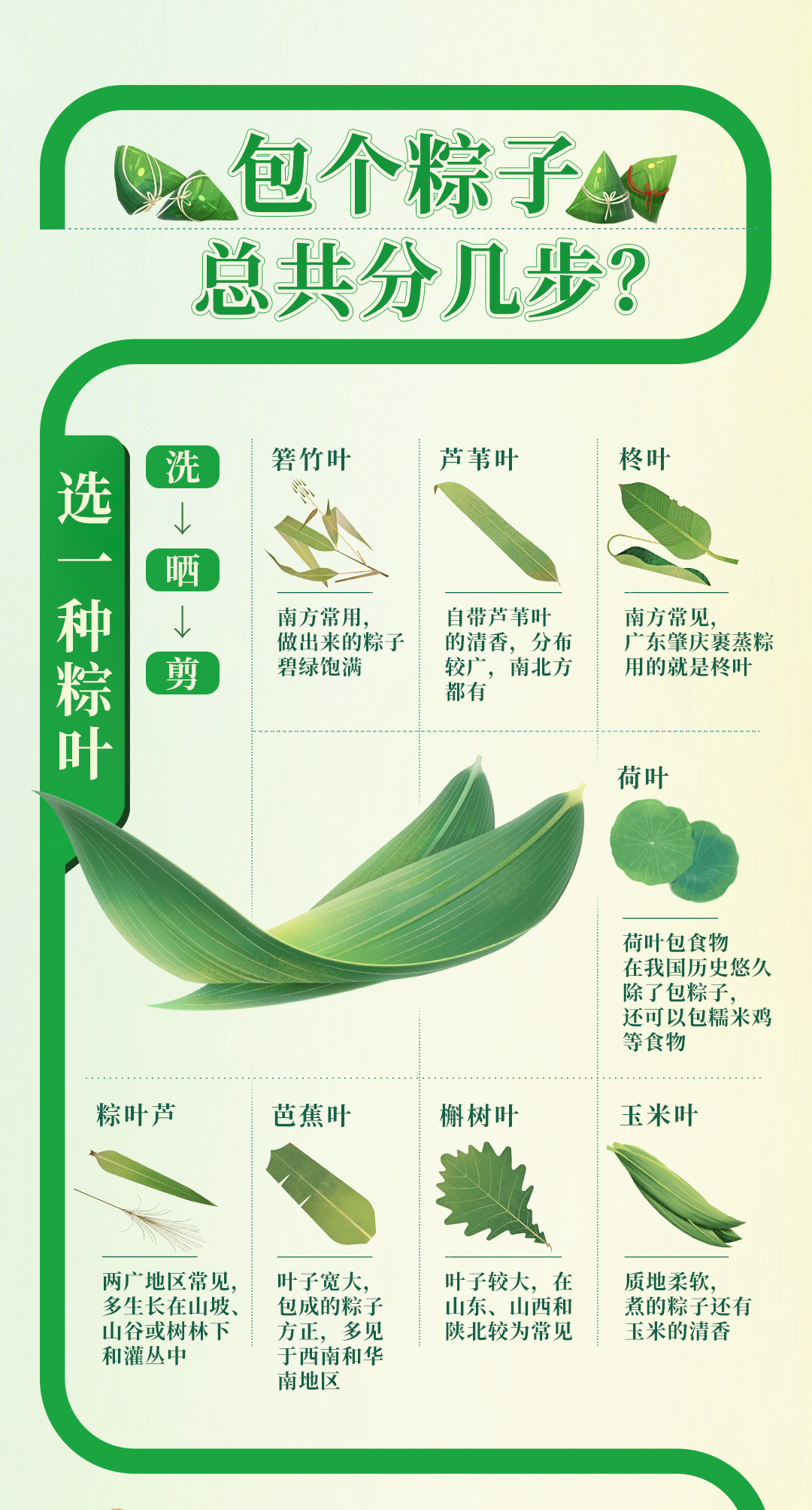 来，咱包个粽子！