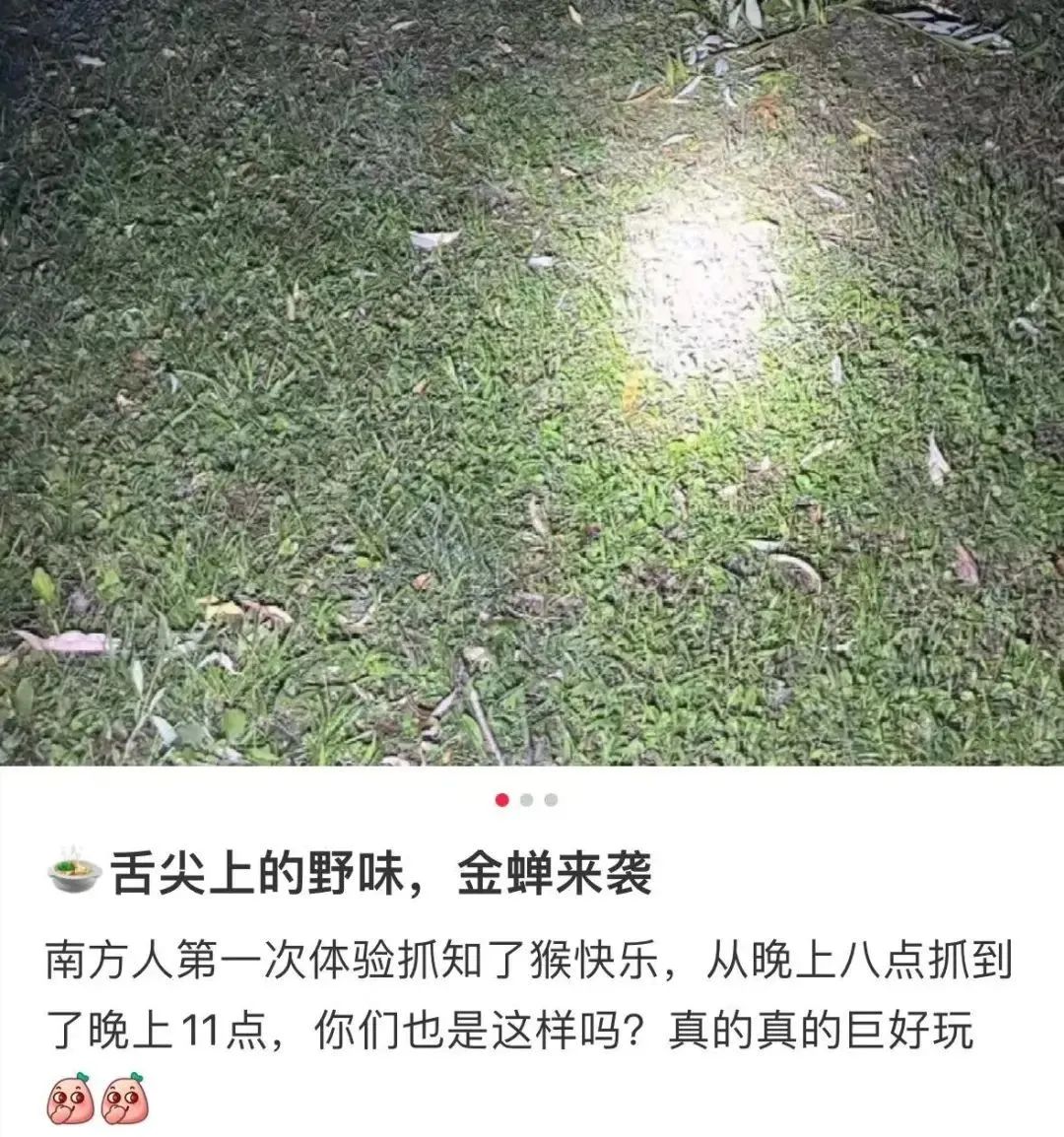 有人报价800元/公斤！很多人在抓，网友：童年回忆