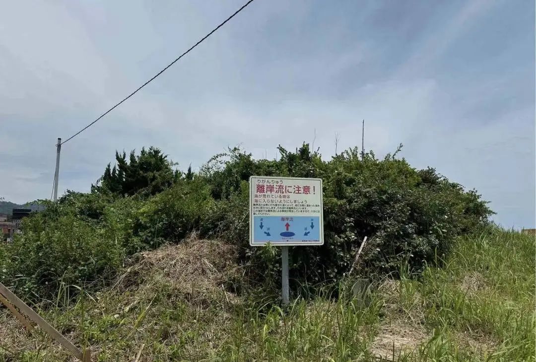 成都女孩抱着救生圈在日本海上漂了80公里，1天1夜后获救！更多细节→ ... ... ...