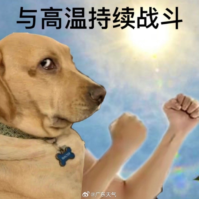 惊险！37℃高温下，女童被遗忘车内近一小时