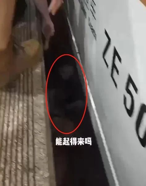 惊险万分！上海虹桥站一女子不慎掉入高铁站台缝隙，众人合力救出，铁路部门提醒→ ...