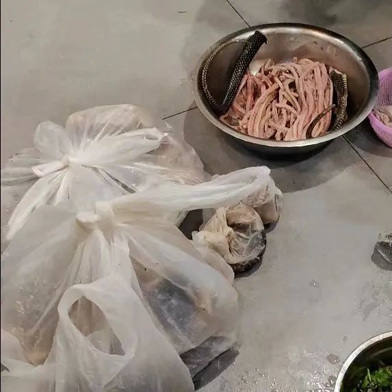 上海一餐馆被举报卖蛇肉，眼镜蛇398元一斤！现场查获活蛇65条，执法人员吓到尖叫 ... ...