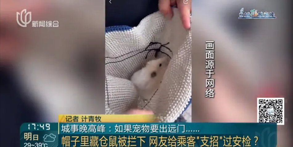 上海地铁明确禁止，还有人偷偷干！网友：严惩！