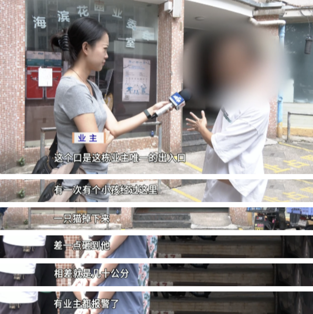 吓人！广州一小区频现“高空坠猫”，曾差点砸中小孩……