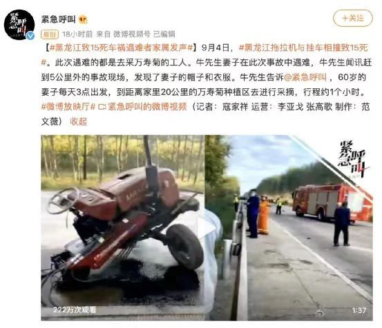“不跳水的全红婵像白痴？”今年最大的笑话……