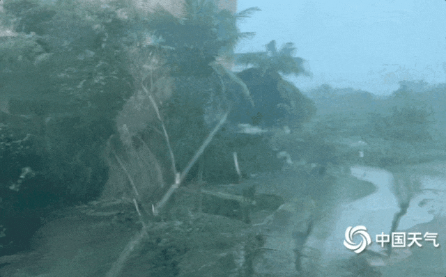 不能松懈！“摩羯”今日或将第三次登陆！广东未来天气…… ... ...