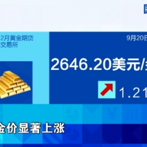 金价大涨！