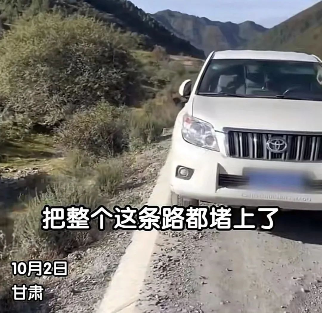热搜上毁三观的“情侣路边野餐”事件，炸出了多少丑陋巨婴 ... ...