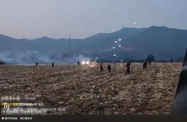 “可以说是明抢！”农户劝阻不了，无奈放烟花驱赶捡玉米人群 ... ...
