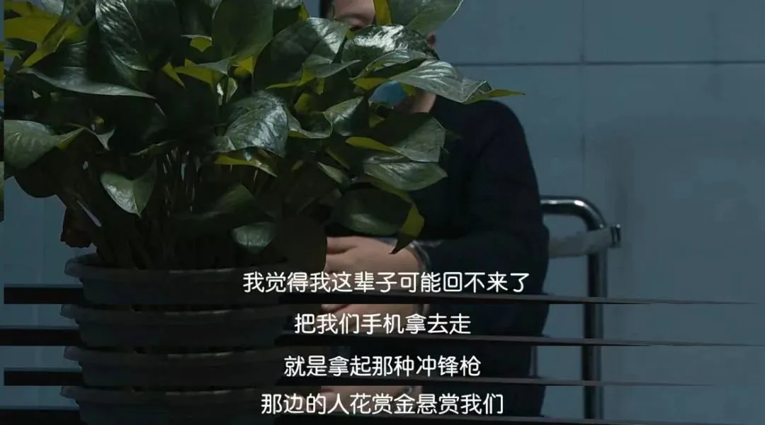 你以为遍地黄金的天堂，比缅北还可怕