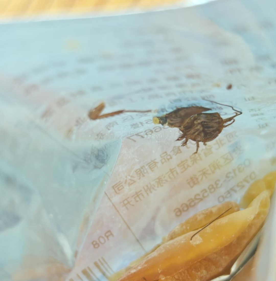 怀孕9个多月孕妇称吃出蟑螂：“明显生理不适”！知名品牌回应了 ... ...