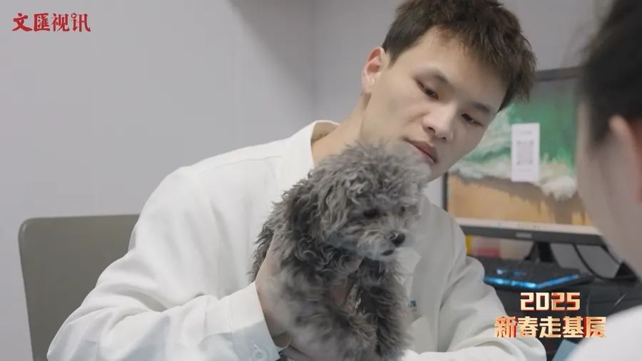 文汇视讯·新春走基层｜宠物医生：悉心照料喵星人汪星人，萌宠也要健康过大年 ...