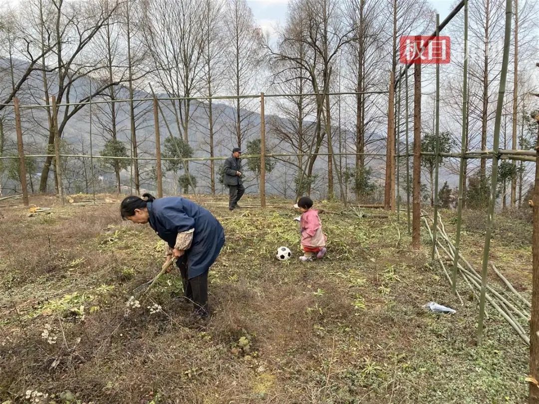 实力宠孙女！73岁爷爷用20余天，手工打造160㎡足球场