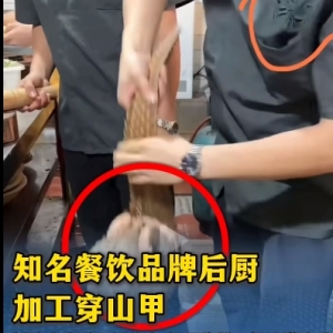 知名餐饮品牌后厨加工穿山甲，创始人回应：系老挝分店