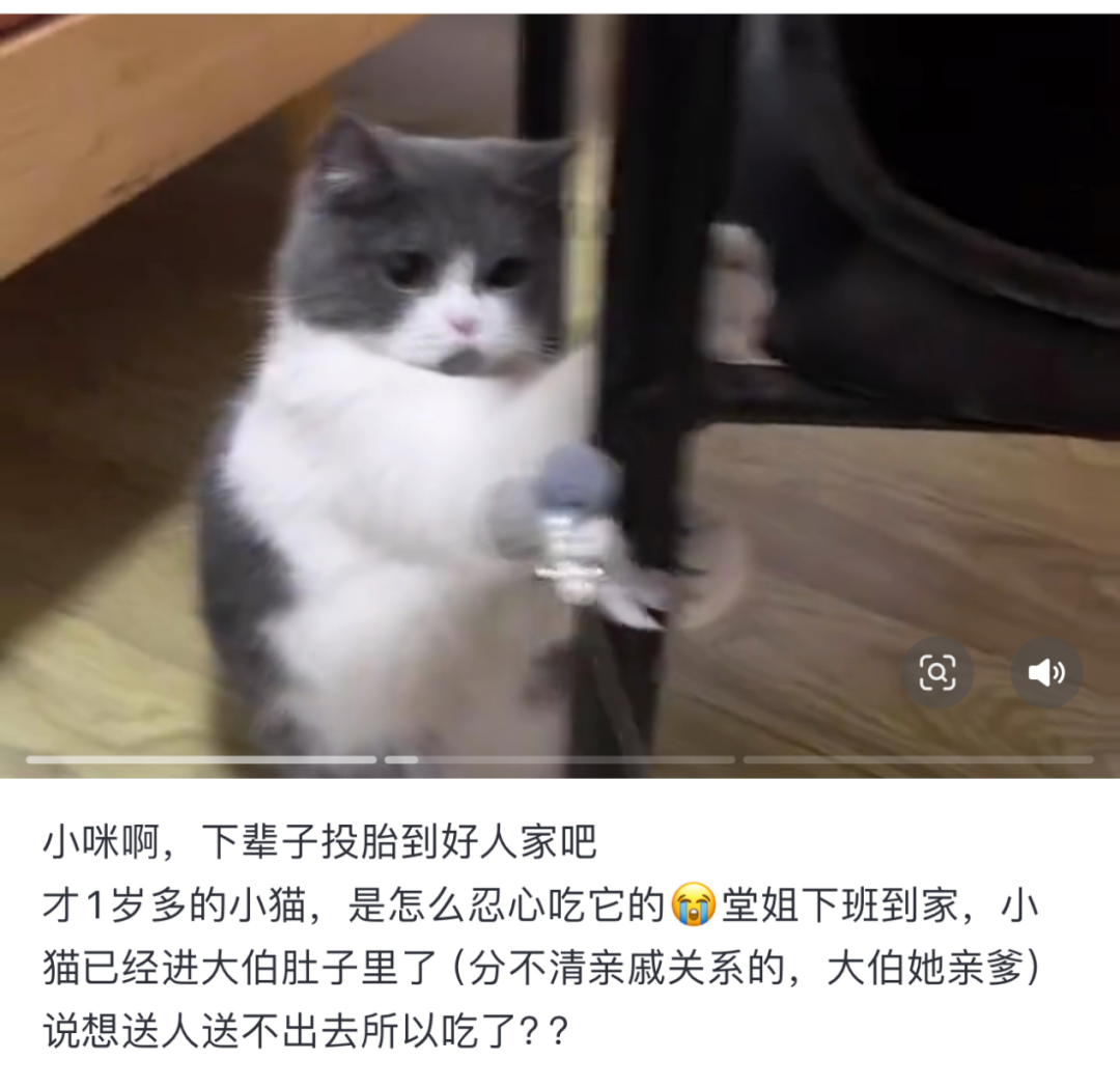 广西“吃猫逼婚”事件，背后最残酷的真相是什么？