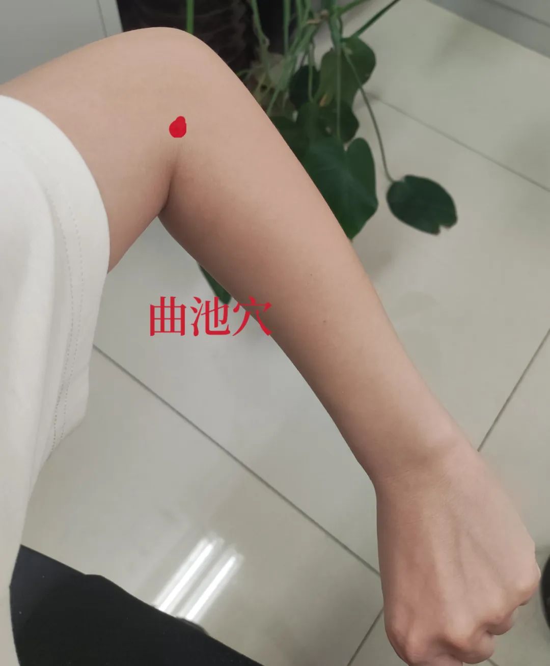 湿气不除，越积越毒！春季祛湿就这样做，养生还防病！