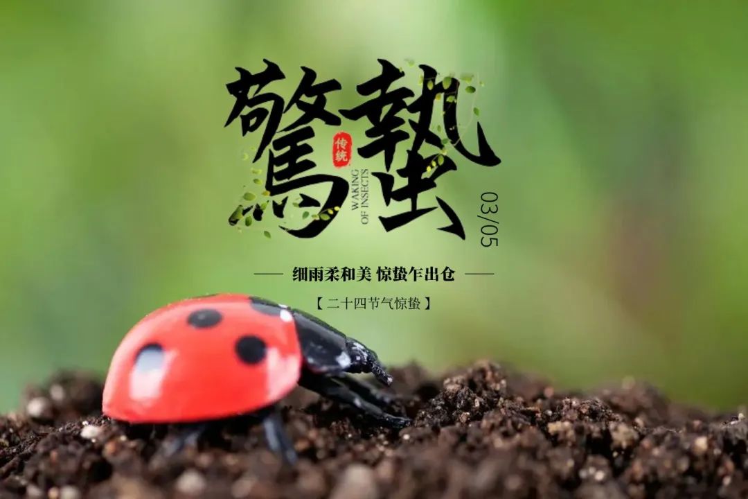 今日惊蛰，按照老规矩，别忘了吃一样水果，寓意一年都有精神头 ... ... ...