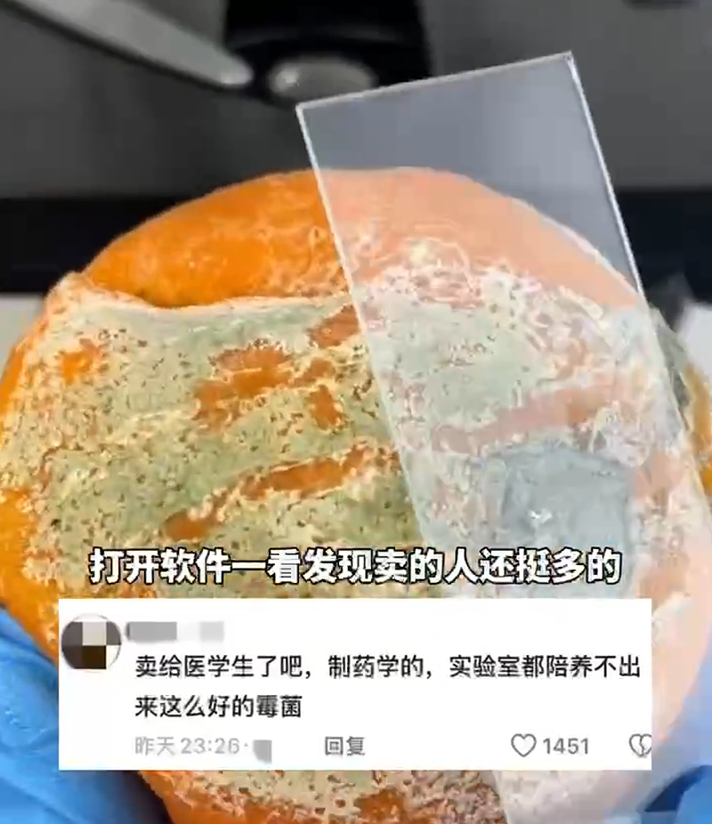 突然爆火，卖出天价！500元一个，网友：我直接扔了