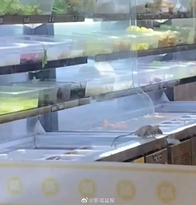 杨国福麻辣烫店食品柜出现老鼠，当地市监局通报