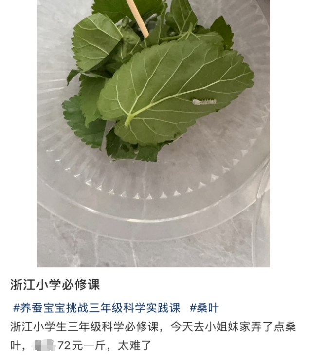 10万盒抢空！突然爆了！浙江妈妈：有娃的都懂