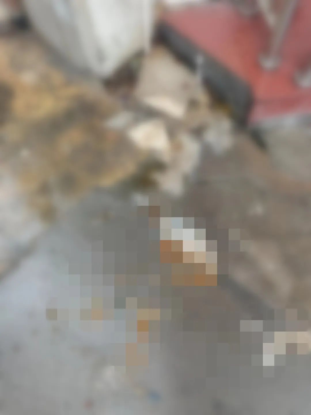 下雨门口都是粪便！长沙一商业街下水道破裂商户盼修复，社区回应 ... ... ...